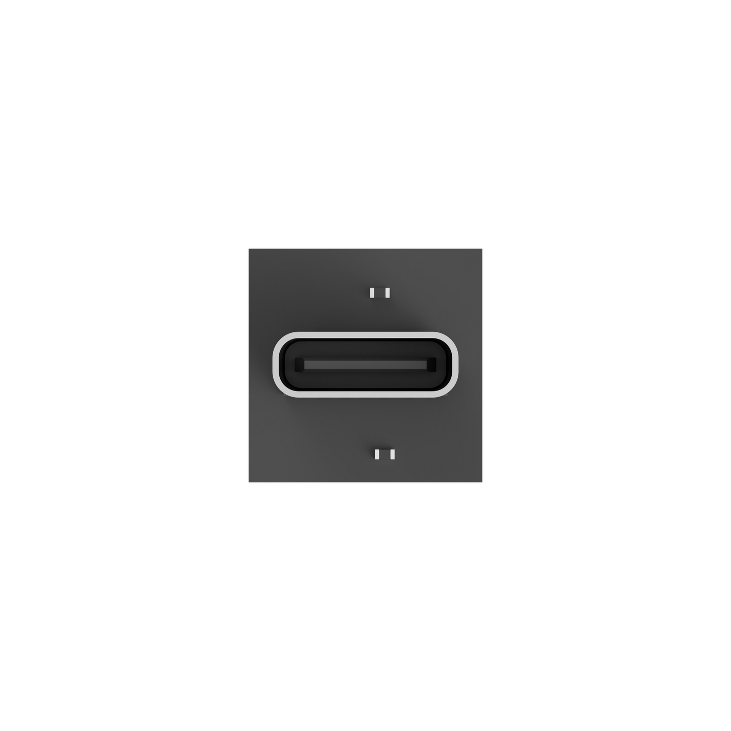 S1 Pro Female USB-C Add-on